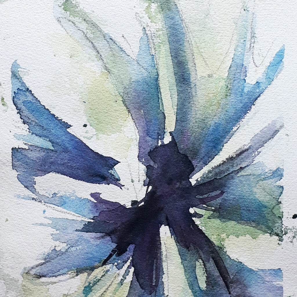 Aquarellbild Ann Szych, Kornblume