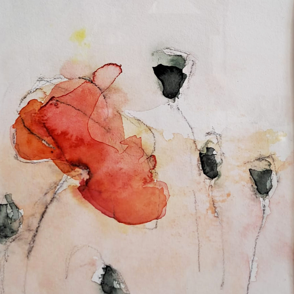 Aquarellbild Ann Szych, roter Mohn