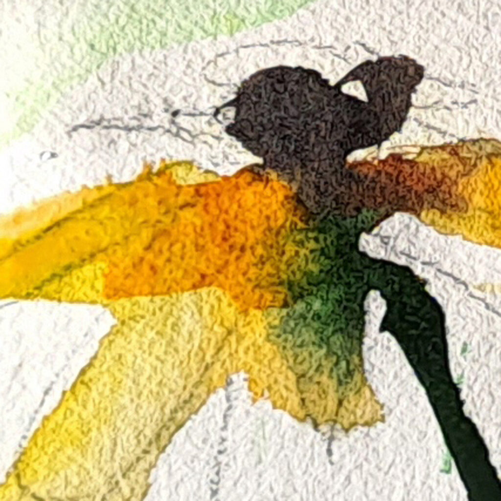Aquarellbild Ann Szych, gelbe Blüten, Sonnenhut